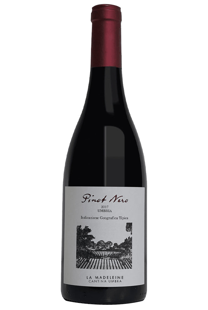 Pinot Nero La Madeleine -  Franco Wine Imports